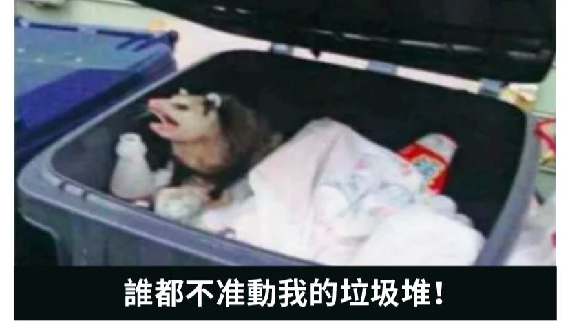 小萌新的第一次堆溢出+fast bins attack